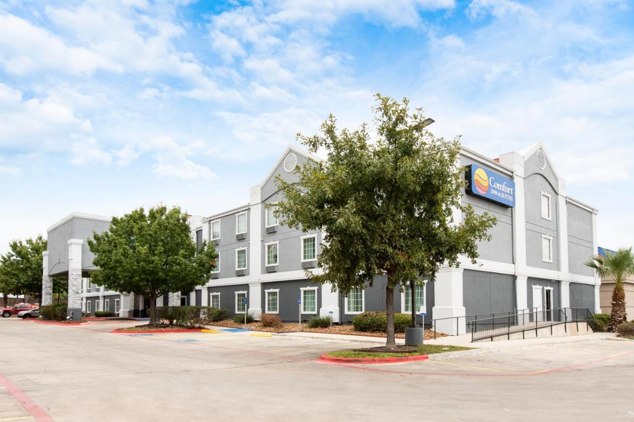 Comfort Inn & Suites Near Medical Center San Antonio Exterior photo
